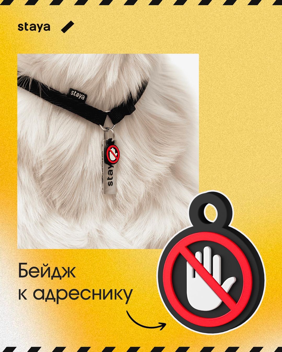 Dog-Friendly Map - Смотреть можно - трогать нельзя🚫! Как защитить свою ...