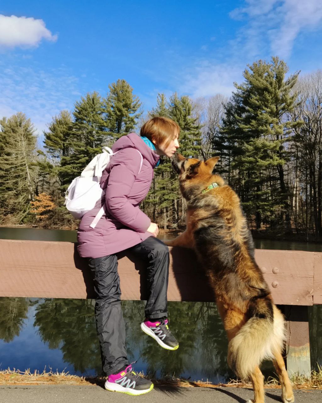 Dog-Friendly Map - Переезд с собакой в Америку часть 3. Люба и Понька.