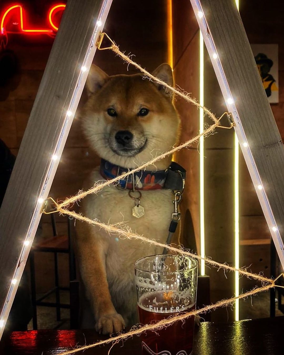 Dog-Friendly Map - Бар и магазин Local beer на улице Римского-Корсакова