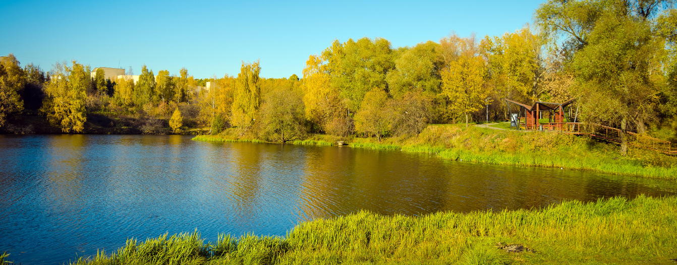 П левобережный. Москва. Левобережье в мае 24г.красивые фото.