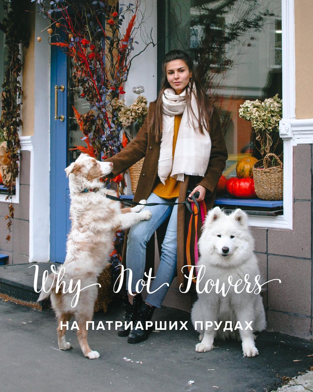 Dog-Friendly Map - Цветочный магазин и салон красоты Why not? в Трёхпрудном  переулоке