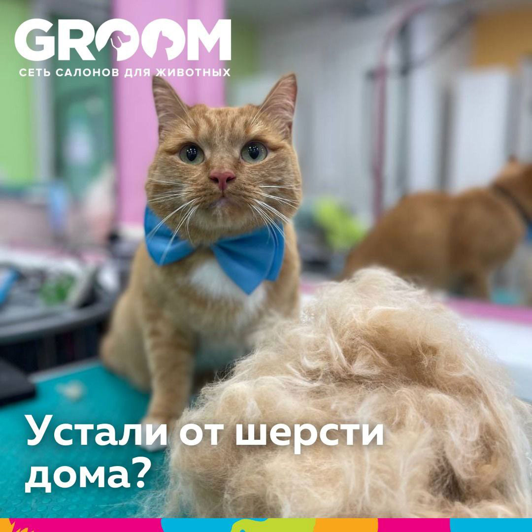 Dog-Friendly Map - Груминг GROOM на улице Люблинская