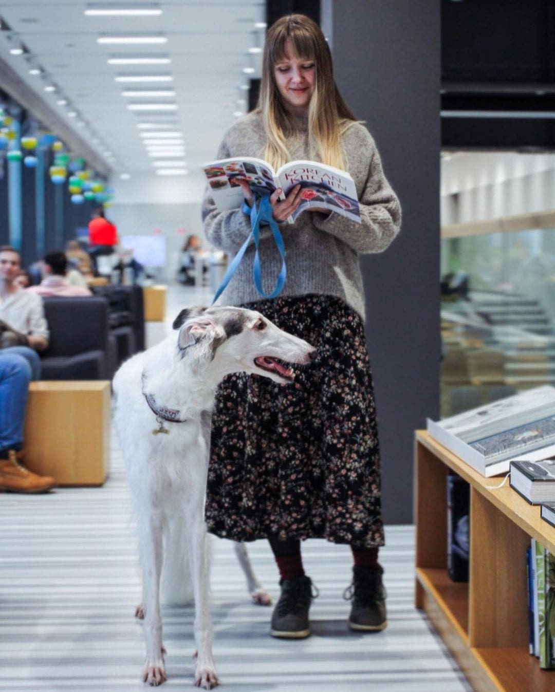 Dog-Friendly Map - Коворкинг Hyundai MotorStudio Moscow на Новом Арбате