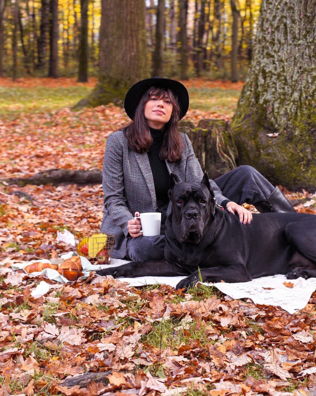 Dog-Friendly Map - Парк Покровское-Стешнево на Северо-Западе Москвы